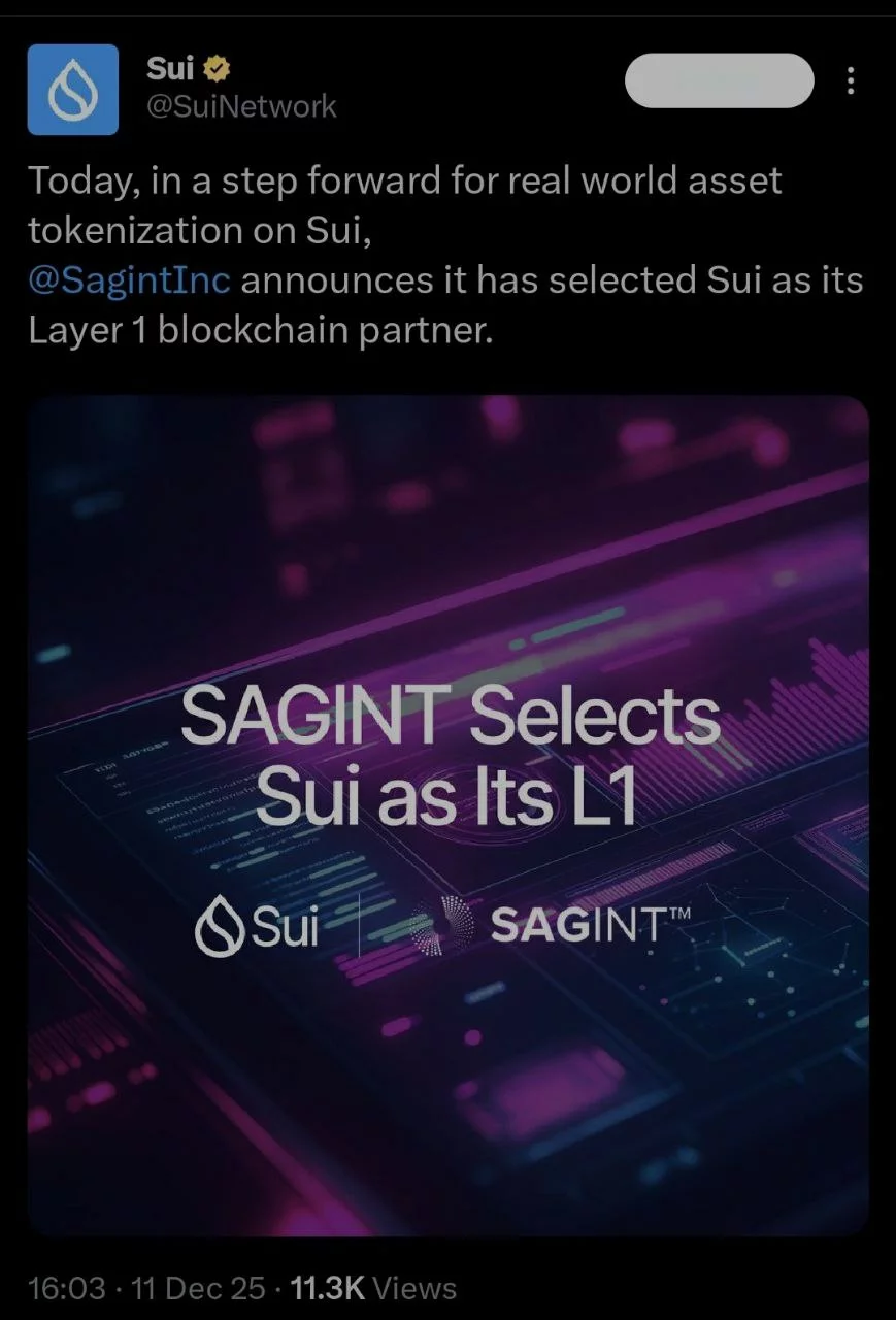 SAGINT и Sui объединяют усилия для инициативы токенизации - 2